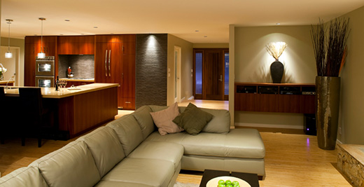 Modern basement living room
